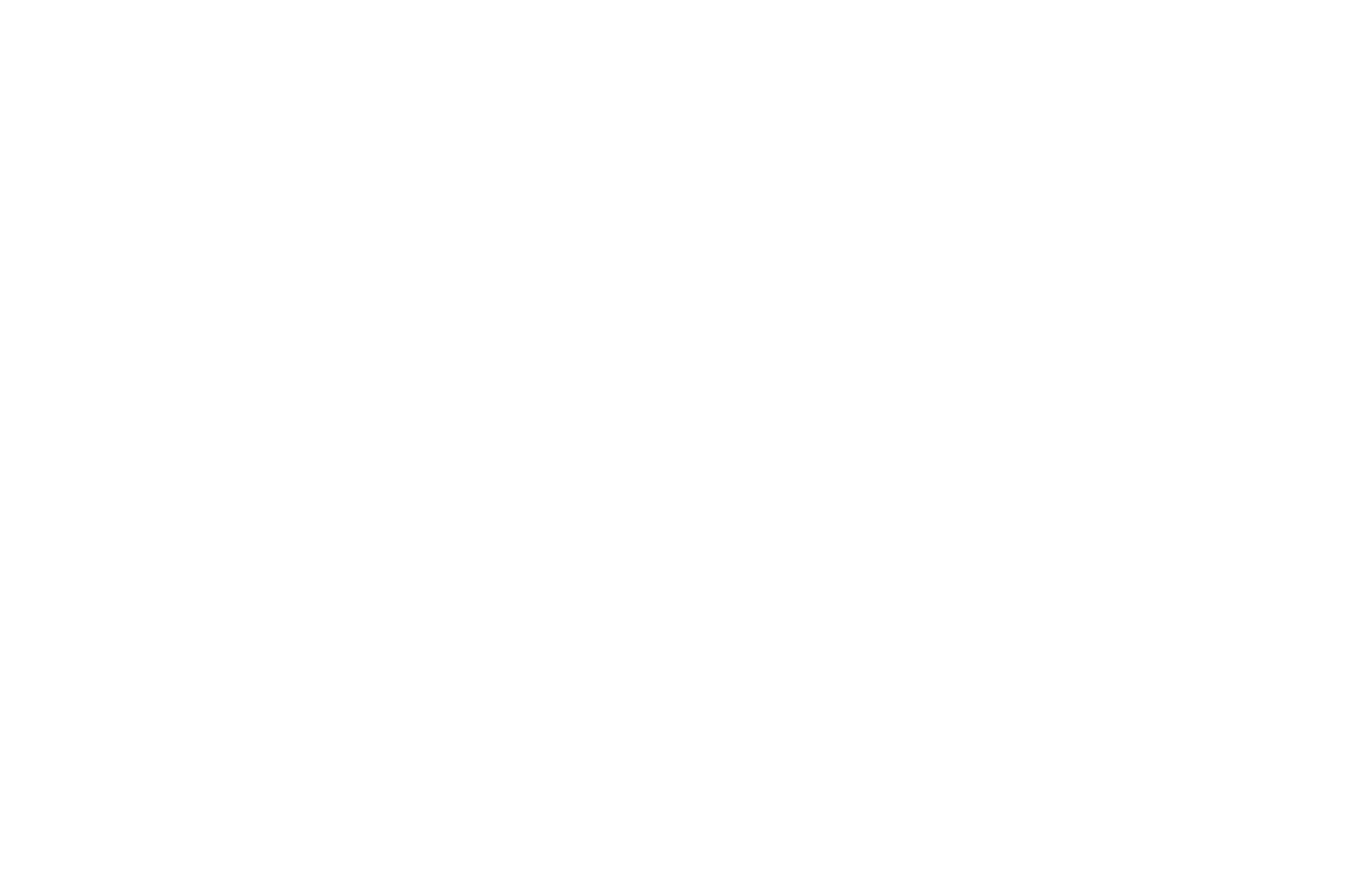 Indo-French IFF