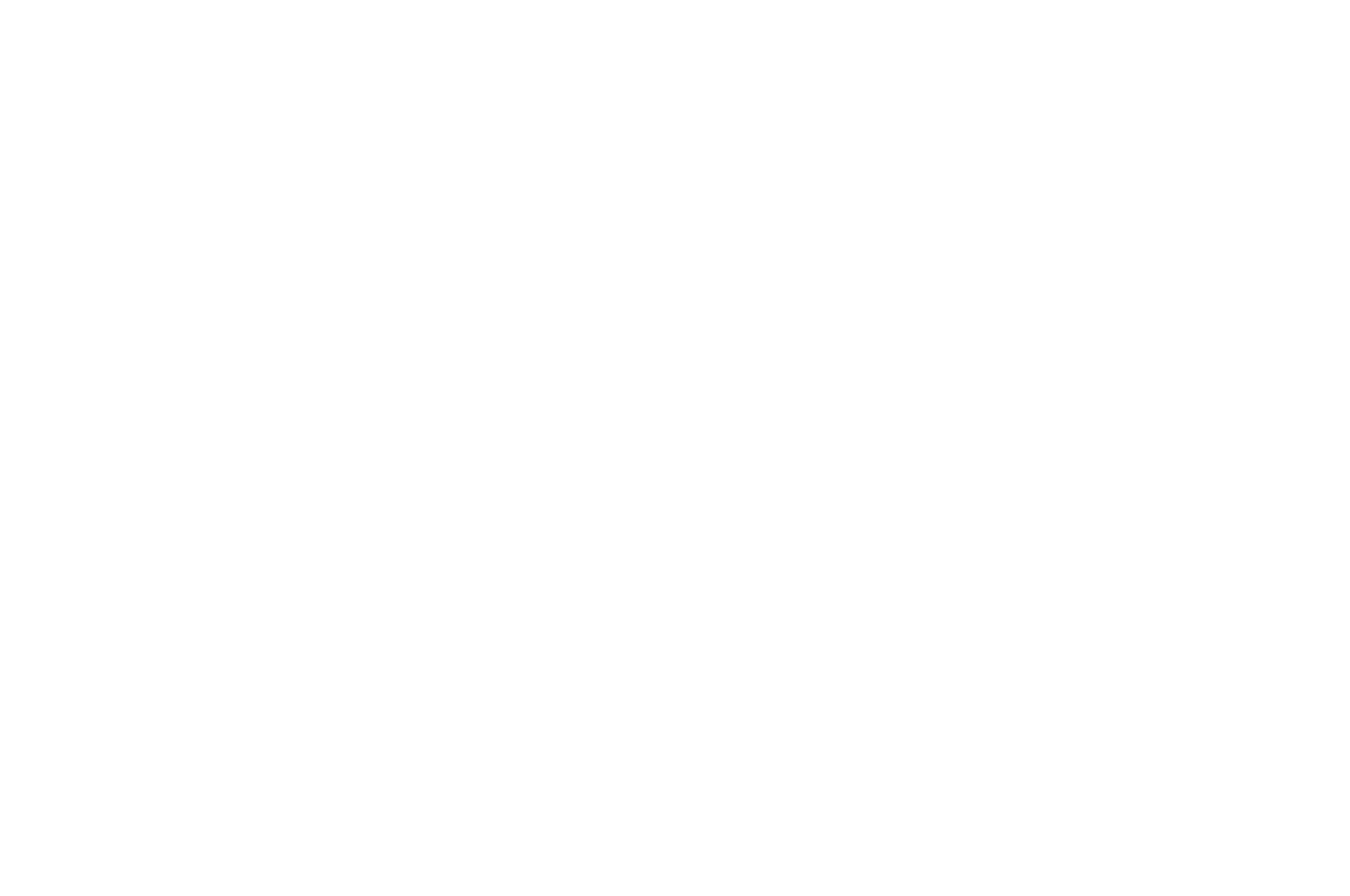 Nawada IFF